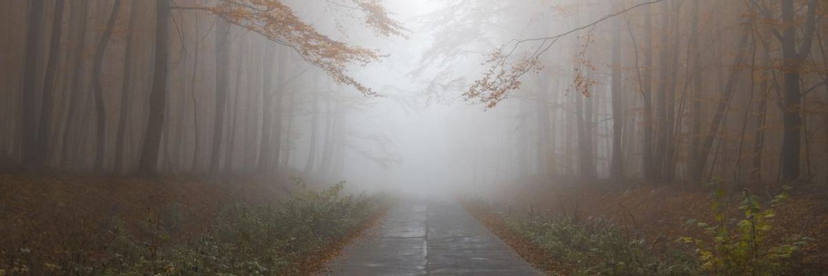 Stimmung, schlechtes Wetter, Antriebslosigkeit, dunkle Jahreszeit, Ernährung, Müdigkeit